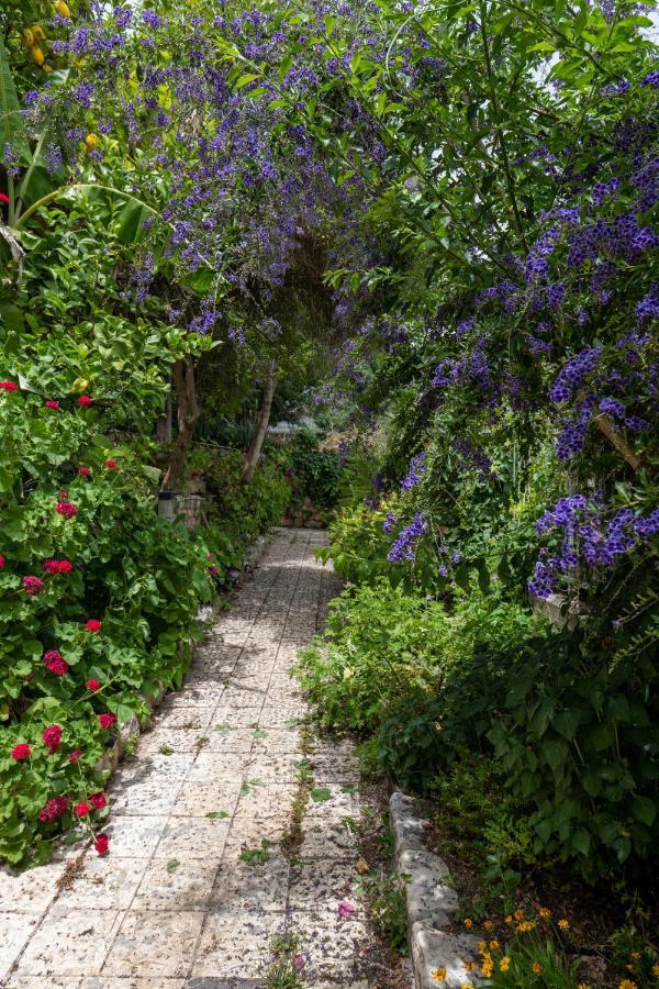 הבית בסמטת תל אביב Villa Rosh Pinna Bagian luar foto